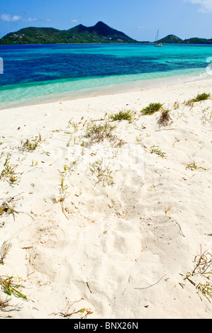 Pistes et des tortues de mer nichent sur l'île de Sable, la Grenade Carriacou. Banque D'Images