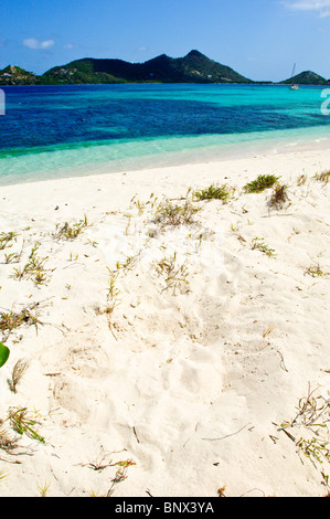 Pistes et des tortues de mer nichent sur l'île de Sable, la Grenade Carriacou. Banque D'Images