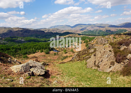 À la recherche dans la direction de l'Helvellyn et gamme de Lingmoor Holme est tombé dans le Parc National du Lake District, Cumbria. Banque D'Images