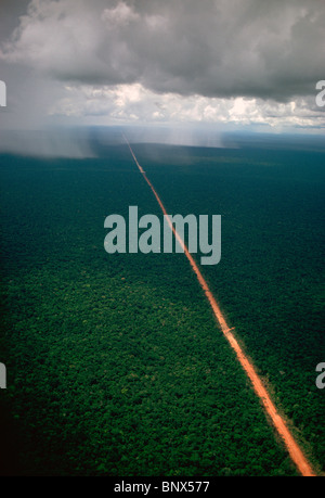 Une route non asphaltée coupe à travers la forêt amazonienne brésilienne. Banque D'Images