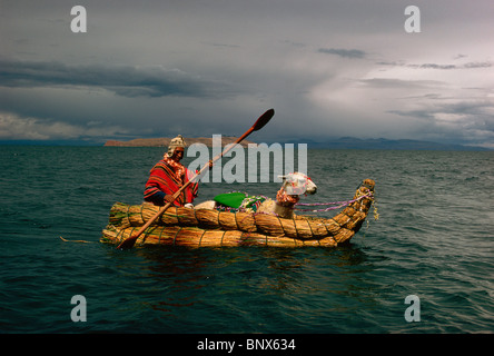 Un lama et rameur sur une demi-balsa, le Lac Titicaca, au Pérou. Banque D'Images