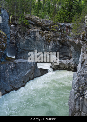 Nairn Falls la Green River près de Pemberton Nairn Falls Provincial Park BC Canada Banque D'Images