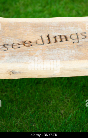 Banc de jardin en bois sculpté avec le mot 'seedlings' à Harlow Carr de l'ERS Banque D'Images