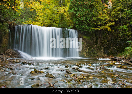 Hogg's Falls sur la rivière Boyne, l'Escarpement du Niagara, Ontario, Canada. Banque D'Images