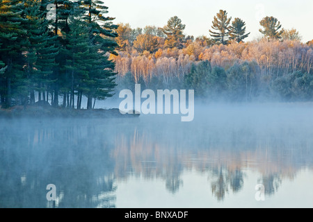 Tôt le matin, le brouillard sur un étang, Burwash, l'Ontario, Canada. Banque D'Images