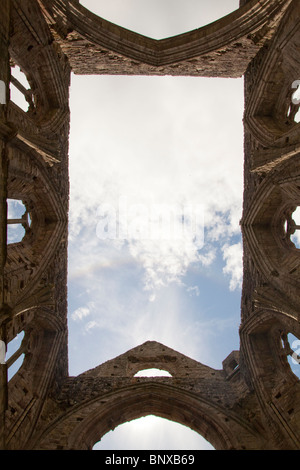 À la recherche en haut le ciel de l'intérieur les ruines médiévales de l'abbaye de Tintern, Monmouthshire, Wales Banque D'Images