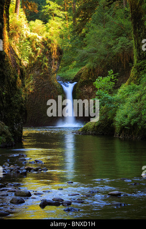 Punchbowl Falls sur Eagle Creek, Oregon Banque D'Images