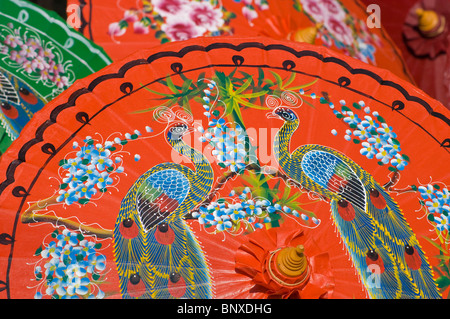 Coton peint à la main de parasols avec motifs des oiseaux et des fleurs à Chiang Mai (Thaïlande). Banque D'Images