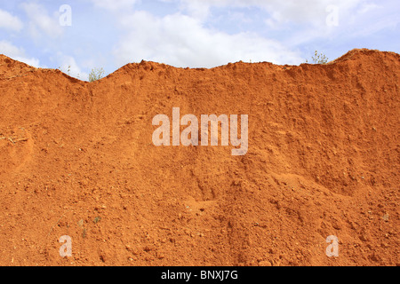 La terre rouge d'une dune de sable Banque D'Images