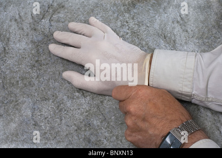 Mettre des gants en caoutchouc latex médical Banque D'Images