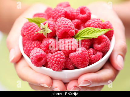 De la vaisselle avec des framboises dans femme mains. Banque D'Images