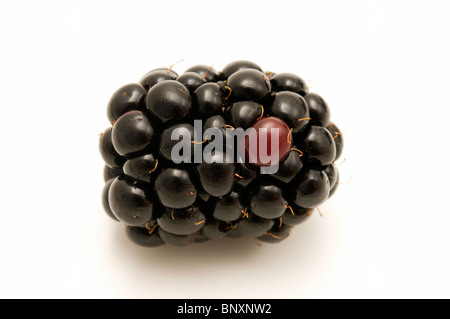 Blackberry sur un fond blanc Banque D'Images