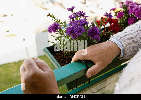 Debout sur le balcon, des fleurs dans la fenêtre de dialogue Banque D'Images