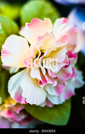 Silk flower, close-up Banque D'Images