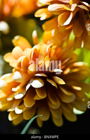 Les fleurs en soie, close-up Banque D'Images