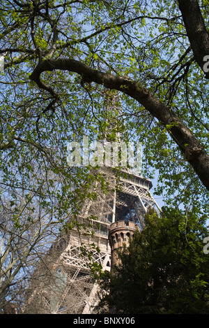La Tour Eiffel, Paris, France, low angle view vu par les feuilles d'arbre Banque D'Images