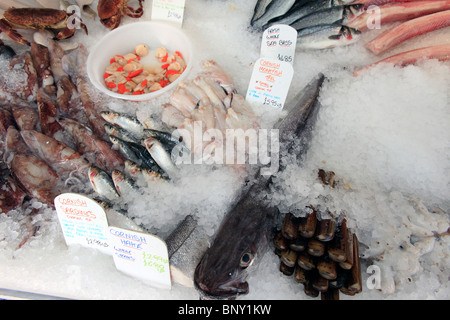 Royaume-uni littlehampton un poisson humide s'affichent dans un décrochage des poissonniers Banque D'Images