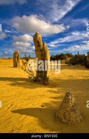 Les Pinnacles, le Parc National de Nambung, dans l'ouest de l'Australie. D'étranges formations rocheuses de calcaire dans un désert éolien jaune. Banque D'Images