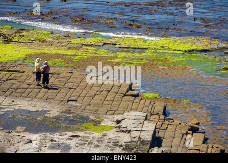 Les touristes à la chaussée tesselé - une formation rocheuse naturelle sur la péninsule de Tasman. La Tasmanie, Australie Banque D'Images