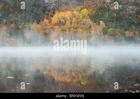 Brume matinale planant au-dessus de l'Étang du barrage de castors, l'Acadia National Park, Maine, USA Banque D'Images