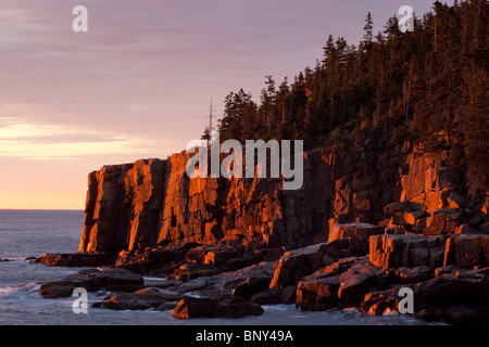 L'aube à Otter Cliff, l'Acadia National Park, Maine, USA Banque D'Images