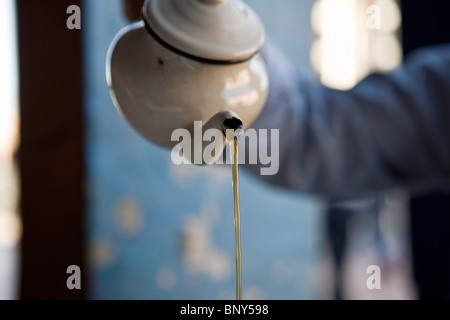 Thé de l’absinthe Banque D'Images