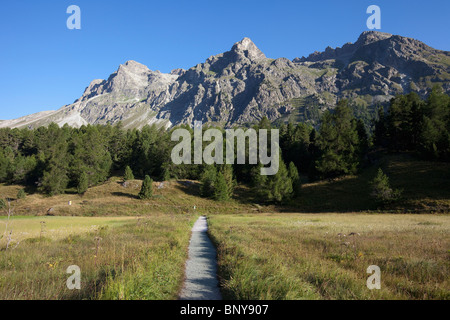 Petit chemin à l'approche de la forêt de montagne Banque D'Images