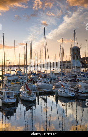 Aube sur Sandy Bay Marina. Hobart, Tasmanie, Australie Banque D'Images