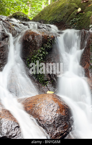 Cascade de l'île de Tioman, Malaisie jungle Banque D'Images