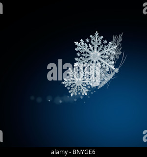 Le papillon blanc comme le flocon de neige sur fond sombre Banque D'Images