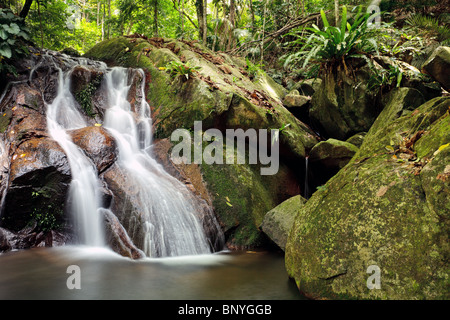 Cascade de l'île de Tioman, Malaisie jungle Banque D'Images