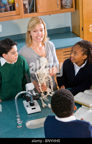 Enseignant et élèves en classe de sciences avec modèle squelette Banque D'Images