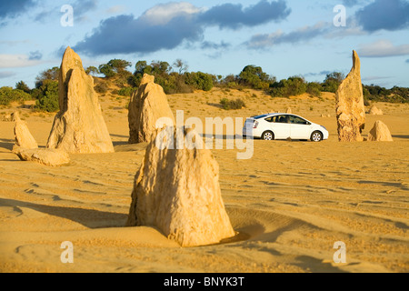 La conduite par les piliers de calcaire le Désert des Pinnacles. Le Parc National de Nambung, Cervantès, Australie occidentale, Australie Banque D'Images