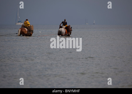 Les pêcheurs belges sur l'pataugeant dans la mer du Nord pour une forme traditionnelle de la pêche crevettière, Oostduinkerke, Belgique. Banque D'Images