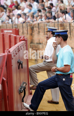 Deux fonctionnaires chargés de superviser une corrida sur l'arène de Real Maestranza, Séville, Espagne Banque D'Images