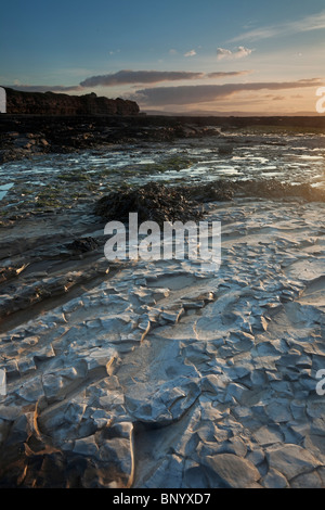 Kilve Beach, avec une petite ammonite fossile dans l'avant-plan. Banque D'Images