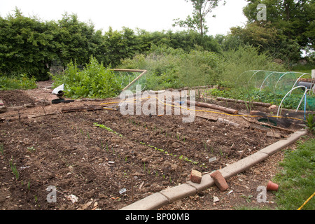 Cuisine traditionnelle ou de légumes jardin, Hampshire, Angleterre. Banque D'Images