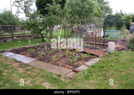 Cuisine traditionnelle ou de légumes jardin, Hampshire, Angleterre. Banque D'Images