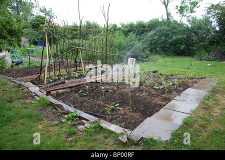 Cuisine traditionnelle ou de légumes jardin, Hampshire, Angleterre. Banque D'Images