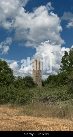Tour Médiévale, près de Viterbe, Latium Tuscia, Italie centrale appelée Torre di Santa Maria di Luco Banque D'Images