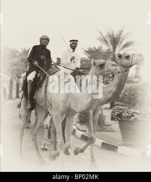 Deux coureurs de chameau l'exercice de leurs animaux à Doha avant la Journée nationale de 2009, qui a comporté d'affichage différentes unités montées. Banque D'Images