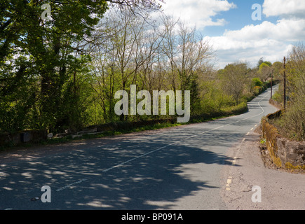 Lonesome Road # 47. Irish country road Banque D'Images