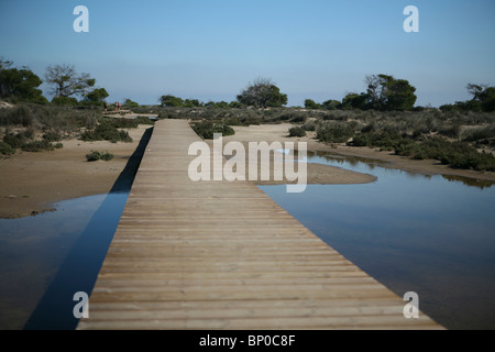 Promenade à San Pedro del Pinatar, parc régional Salinas de San Pedro. Banque D'Images