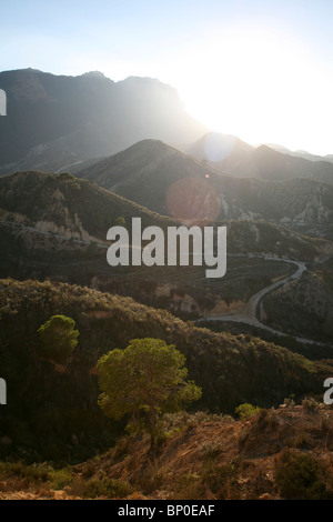 L'espagnol, près de Murcie, Espagne, arbre en premier plan, l'effet lens flare - le tournage dans le soleil. Banque D'Images