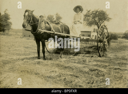 C1900 photographie d'une femme au volant d'un foin à chevaux raker. Banque D'Images