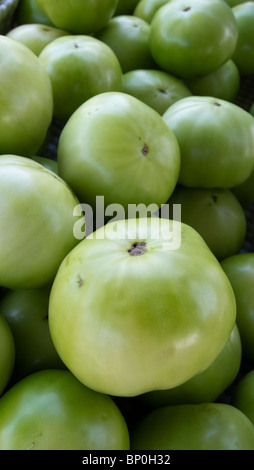 Les tomates vertes, Farmer's Market, Westfield, New Jersey, USA Banque D'Images