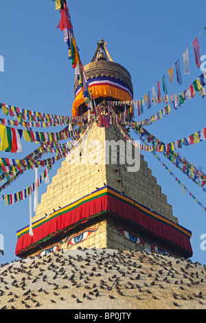 Le Népal. Boudinath Katmandou Stupa, l'un des sites bouddhistes les plus sacrés à Katmandou et un plus grand stupa's dans le monde Banque D'Images