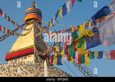 Le Népal. Boudinath Katmandou Stupa, l'un des sites bouddhistes les plus sacrés à Katmandou et un plus grand stupa's dans le monde Banque D'Images