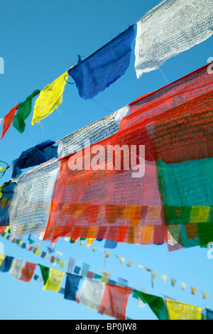 Le Népal. Katmandou, les drapeaux de prières de Boudinath stupa bouddhiste le plus sacré de l'un des sites dans Kathmandu Banque D'Images