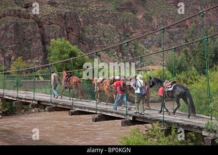 Le Pérou. Chevaux menée sur un pont enjambant la rivière Urubamba pour être montés par les touristes à Moray et Maras, Vallée Sacrée. Banque D'Images
